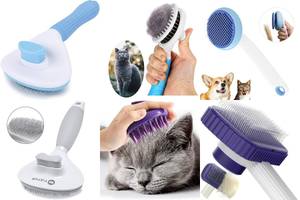 5 Best Gentle Cat Brushes for a Purrfectly Smooth Coat