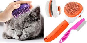 Soft Bristle Cat Comb