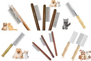 5 Best Wooden Cat Combs for Happy, Healthy Cats