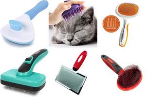 5 Best Cat Brushes for Sensitive Skin