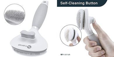 Self-Cleaning Silicone Cat Brush for Short & Long Hair
