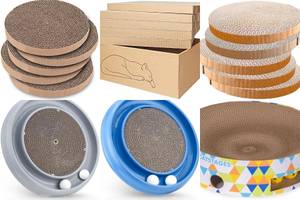 5 Best Cat Scratch Pads with Playful Features