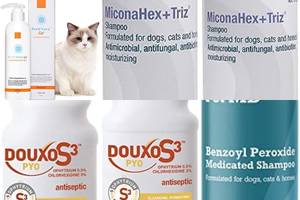 Best Antifungal Shampoos for Cats: Top 5 Picks