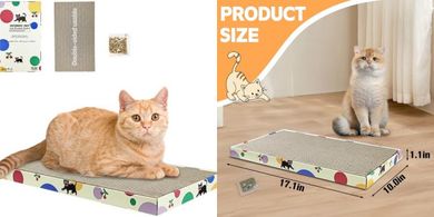 Durable Double-Sided Cardboard Cat Scratcher (17"x10")
