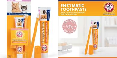 Arm & Hammer Complete Cat & Kitten Dental Kit: Toothpaste, Toothbrush & Finger Brush
