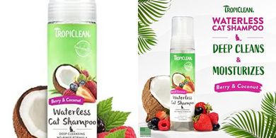 TropiClean Berry Coconut Dry Cat Shampoo (7.4 oz)
