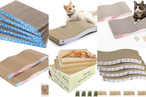 Large Reversible Cat Scratch Pad