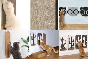 5 Must-Have Wall-Mounted Cat Scratch Pads