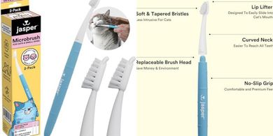 Jasper Microbrush Cat Toothbrush Kit: Soft bristles, 2 heads, non-slip handle.
