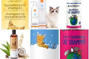 5 Best Organic Cat Shampoos for a Healthy, Shiny Coat