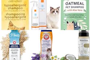 5 Best Cat Shampoos for Dry Skin