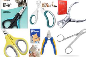 Best Stainless Steel Cat Nail Clippers: Top 5 Picks