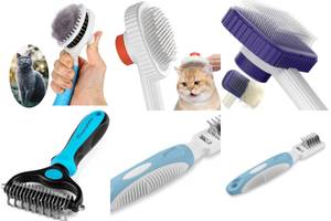 5 Best Cat Brushes for Removing Mats