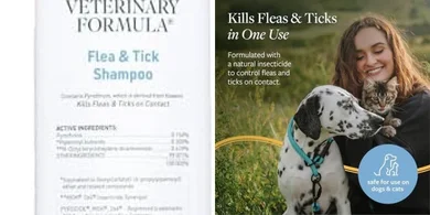 Veterinary Flea & Tick Shampoo for Dogs & Cats (16 oz)
