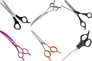 Best Cat Grooming Scissors with Thinning Blade: Top 5 Picks