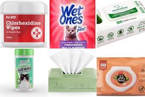 Best Aloe Vera Cat Wipes: Top 5 Reviewed