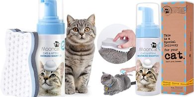 Mooncat Waterless Cat Shampoo & Brush: Safe, Dry, & pH-Balanced Foam Bath
