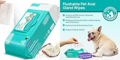 HICC Pet Wipes: Soothing, Deodorizing Cleansing Wipes for Dogs & Cats
