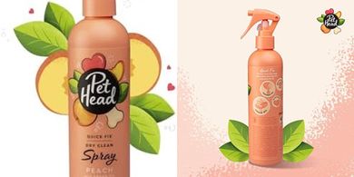 Pet Head Peach Dry Shampoo: Vegan, Gentle Dog Cleanse
