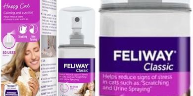 FELIWAY Calming Spray for Cats (60ml)
