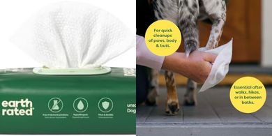 Earth Rated Unscented Pet Wipes: 100 Count for Dogs & Cats
