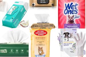 5 Best Reusable Cat Wipes for Easy Cleaning