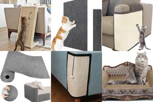 5 Best Cat Scratch Pads to Protect Your Sofa