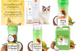 5 Amazing Papaya Cat Shampoos